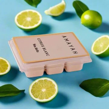 الشمع المذاب كرتس بلانك